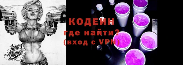 ПСИЛОЦИБИНОВЫЕ ГРИБЫ Арсеньев