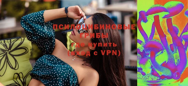 ПСИЛОЦИБИНОВЫЕ ГРИБЫ Арсеньев
