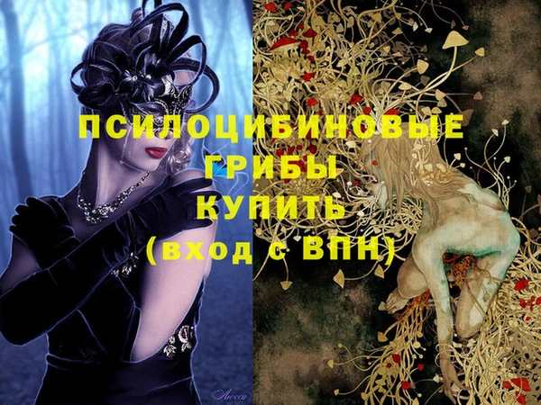 ПСИЛОЦИБИНОВЫЕ ГРИБЫ Арсеньев