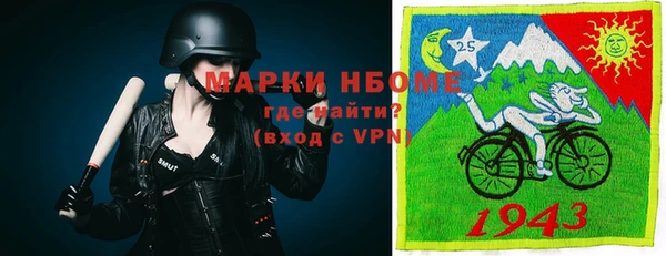 ПСИЛОЦИБИНОВЫЕ ГРИБЫ Арсеньев